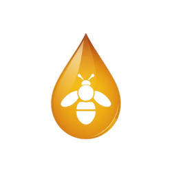 Sans titre (500 x 250 px) (250 x 250 px) (250 x 250 px)